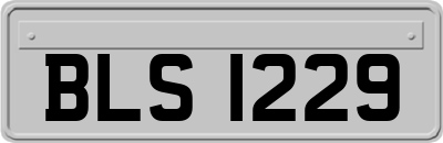 BLS1229