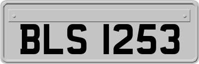BLS1253