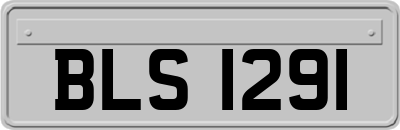 BLS1291