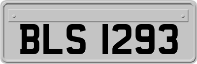 BLS1293