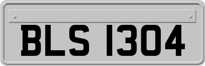 BLS1304