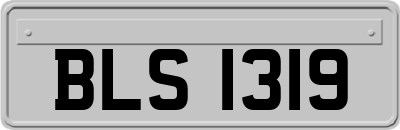 BLS1319
