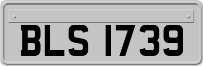 BLS1739