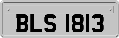 BLS1813