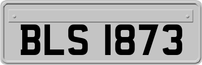 BLS1873