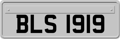 BLS1919