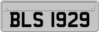 BLS1929
