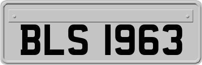 BLS1963