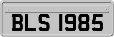 BLS1985