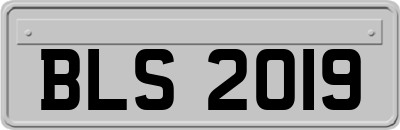 BLS2019