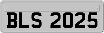BLS2025