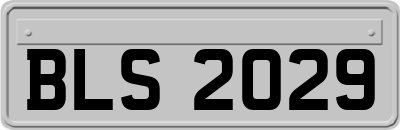 BLS2029