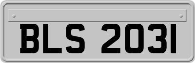 BLS2031