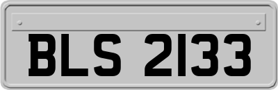 BLS2133