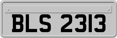 BLS2313