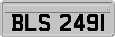 BLS2491