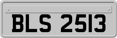 BLS2513