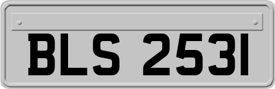 BLS2531