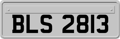 BLS2813