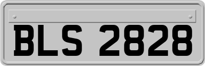BLS2828