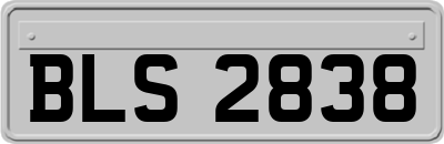 BLS2838