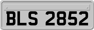 BLS2852