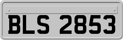 BLS2853