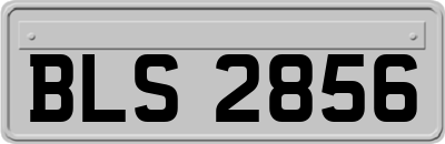 BLS2856