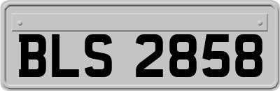 BLS2858