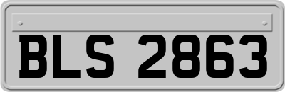 BLS2863