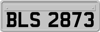 BLS2873