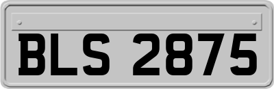 BLS2875