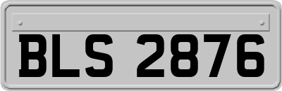 BLS2876