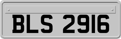 BLS2916