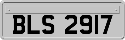BLS2917