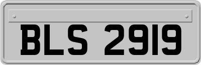 BLS2919