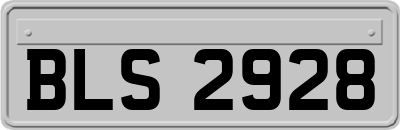 BLS2928