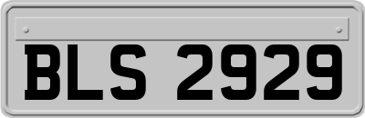 BLS2929