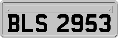 BLS2953