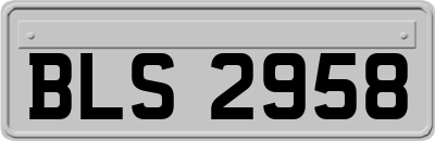 BLS2958