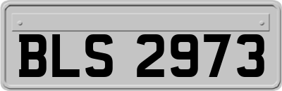 BLS2973