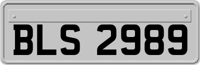 BLS2989