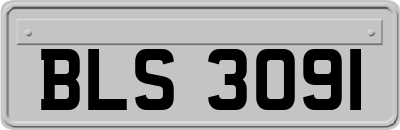 BLS3091
