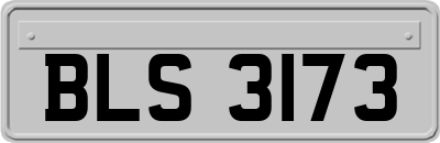 BLS3173