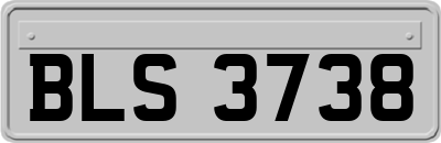BLS3738