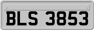 BLS3853
