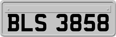 BLS3858