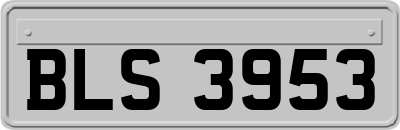 BLS3953