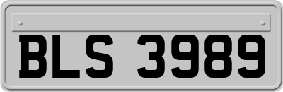 BLS3989