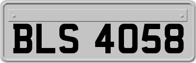 BLS4058
